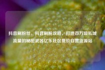 抖音刷粉丝,抖音刷粉攻略,打造百万级私域流量的秘密武器亿乐社区低价自营货源站