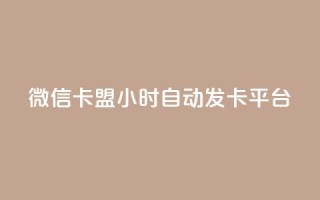 微信卡盟24小时自动发卡平台 - 最佳SEO实践:全天候自动发卡平台,微信卡盟买卡24小时服务~