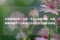 抖音刷播放量,抖音一毛钱10000播放量,抖音刷播放量技巧与策略亿乐社区低价自营货源站