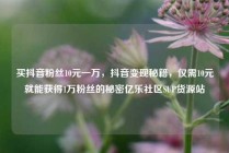 买抖音粉丝10元一万,抖音变现秘籍,仅需10元就能获得1万粉丝的秘密亿乐社区SUP货源站