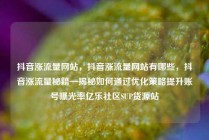 抖音涨流量网站,抖音涨流量网站有哪些,抖音涨流量秘籍—揭秘如何通过优化策略提升账号曝光率亿乐社区SUP货源站