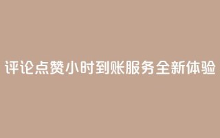评论点赞24小时到账服务全新体验