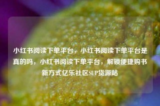 小红书阅读下单平台，小红书阅读下单平台是真的吗，小红书阅读下单平台，解锁便捷购书新方式亿乐社区SUP货源站