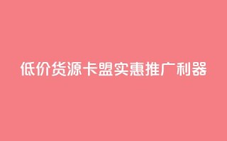 低价货源卡盟，实惠推广利器