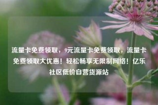 流量卡免费领取，9元流量卡免费领取，流量卡免费领取大优惠！轻松畅享无限制网络！亿乐社区低价自营货源站