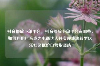抖音播放下单平台，抖音播放下单平台有哪些，如何利用抖音成为电商达人并实现成功转型亿乐社区低价自营货源站