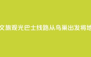 北京开通新文旅观光巴士线路 从鸟巢出发将地标“串珠成链”