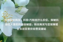 抖音粉丝购买,抖音2万粉丝什么价位,探秘抖音红人背后的商业秘密,粉丝购买与变现策略亿乐社区低价自营货源站