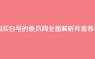 dy白号购买鱼爪网 - 购买dy白号的鱼爪网,全面解析并推荐合适的选择~