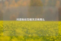 抖音粉丝互相关注有用么