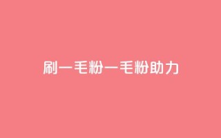 ks刷一毛1000粉(KS 一毛1000粉助力SEO)
