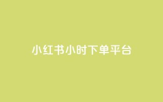 小红书24小时下单平台 - 小红书24小时急速购物平台,天天下单不再等待!~