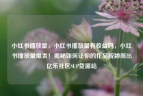 小红书播放量,小红书播放量有收益吗,小红书播放量爆表!揭秘如何让你的作品脱颖而出亿乐社区SUP货源站