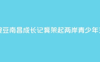 台湾“小豌豆”南昌成长记:冀架起两岸青少年交流桥梁