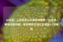 QQ会员,qq会员怎么关闭自动续费,QQ会员,解锁无限可能,享受精彩生活亿乐社区SUP货源站