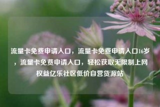 流量卡免费申请入口，流量卡免费申请入口16岁，流量卡免费申请入口，轻松获取无限制上网权益亿乐社区低价自营货源站
