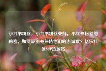 小红书粉丝,小红书粉丝业务,小红书粉丝的秘密,如何吸引并保持他们的忠诚度?亿乐社区SUP货源站