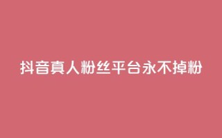 抖音真人粉丝平台 永不掉粉 - 抖音粉丝平台:畅享稳定粉丝,永远不失粉!~