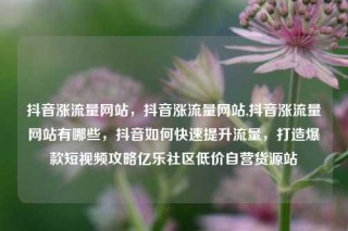 抖音涨流量网站,抖音涨流量网站,抖音涨流量网站有哪些,抖音如何快速提升流量,打造爆款短视频攻略亿乐社区低价自营货源站