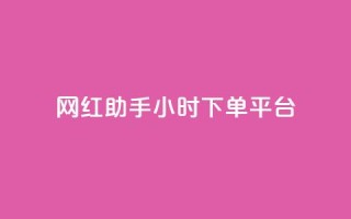 网红助手24小时下单平台 - 全天24小时下单,轻松掌握的网红助手平台!