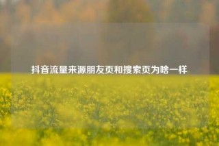 抖音流量来源朋友页和搜索页为啥一样
