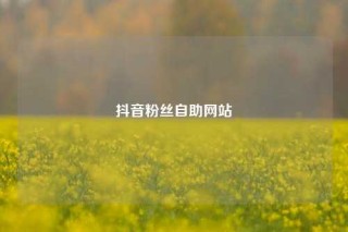抖音粉丝自助网站
