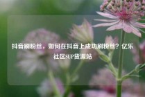 抖音刷粉丝,如何在抖音上成功刷粉丝?亿乐社区SUP货源站