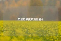巨量引擎搜索流量前十