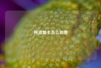 纯流量卡怎么扣费