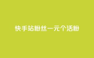 快手b站粉丝一元1000个活粉,快手平台业务网站 - 快手赞粉丝24小时领取 - 快手b站粉丝一元1000个活粉