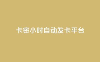 卡密24小时自动发卡平台 - 24小时自动发卡平台,全新卡密服务,快速便捷!~