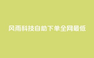 风雨科技自助下单全网最低 - 风雨科技提供全网最优自助下单服务!
