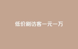低价刷访客一元一万 - 高效提升网站流量的低价方式,每万访客仅需一元~