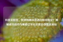 抖音买粉丝,如何利用抖音进行粉丝购买?揭秘成功技巧与策略亿乐社区低价自营货源站