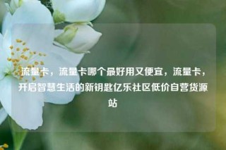 流量卡,流量卡哪个最好用又便宜,流量卡,开启智慧生活的新钥匙亿乐社区低价自营货源站