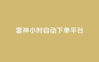 雷神24小时自动下单平台,qq空间访客量增加器 - 卡盟刷网课低价 - qq业务卡盟网站最低价