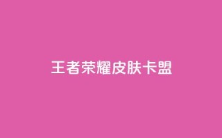 王者荣耀皮肤卡盟 - 王者荣耀皮肤卡盟,让你畅享丰富多彩的英雄皮肤世界~