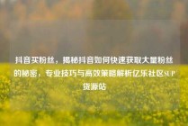抖音买粉丝,揭秘抖音如何快速获取大量粉丝的秘密,专业技巧与高效策略解析亿乐社区SUP货源站