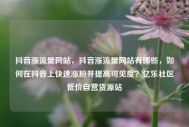 抖音涨流量网站,抖音涨流量网站有哪些,如何在抖音上快速涨粉并提高可见度?亿乐社区低价自营货源站