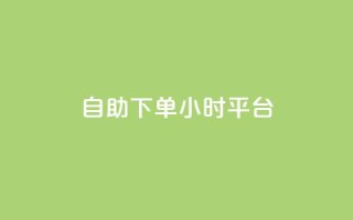自助下单24小时平台ks - 24小时自助下单平台ks:简单又方便。