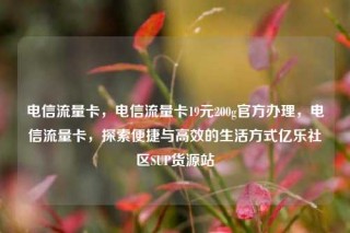 电信流量卡，电信流量卡19元200g官方办理，电信流量卡，探索便捷与高效的生活方式亿乐社区SUP货源站
