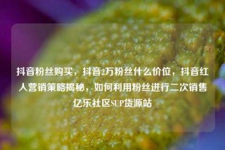 抖音粉丝购买,抖音2万粉丝什么价位,抖音红人营销策略揭秘,如何利用粉丝进行二次销售亿乐社区SUP货源站