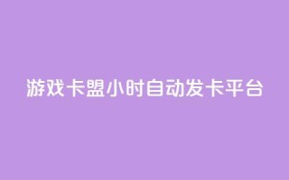 游戏卡盟24小时自动发卡平台 - 24小时自动发卡,游戏卡盟平台全新升级!