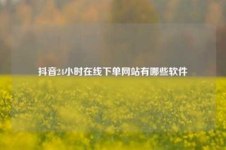 抖音24小时在线下单网站有哪些软件