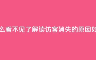 qq访客怎么看不见了(解读QQ访客消失的原因,如何解决)