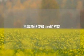 抖音粉丝突破1000的方法