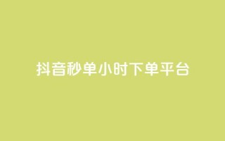 抖音秒单24小时下单平台 - 抖音秒单24小时下单平台——极速购物,惊喜无限!