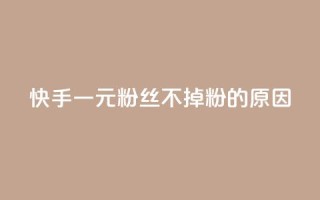 快手一元1w粉丝不掉粉的原因,快手1到120级明细表图片 - 24小时在线下单商城 - 抖音推送流量神器