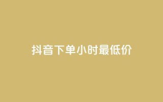 抖音下单24小时最低价,抖音24小时在线下单平台免费 - 爱Q技术自助下单 - 低价Ks一毛1000粉