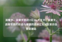 流量卡,流量卡移动19元200g大王卡,流量卡,连接生活的桥梁与便捷的选择亿乐社区低价自营货源站